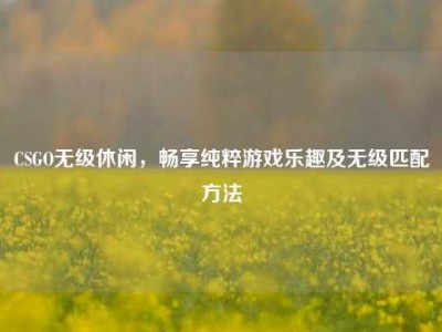 CSGO无级休闲，畅享纯粹游戏乐趣及无级匹配     