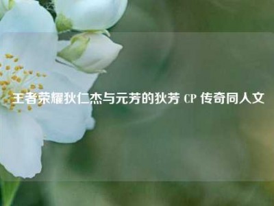 王者荣耀狄仁杰与元芳的狄芳 CP 传奇同人文