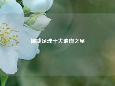 挪威足球十大璀璨之星
