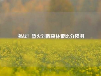 激战！热火对阵森林狼比分预测