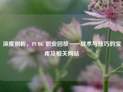 深度剖析，PUBG 职业回放——战术与技巧的宝库及相关网站