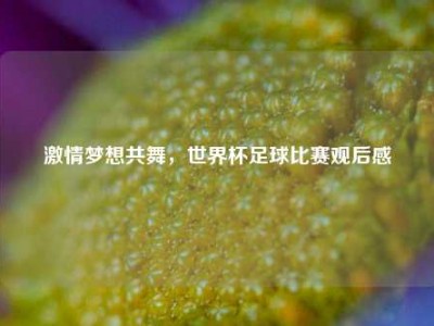 激情梦想共舞，世界杯足球比赛观后感