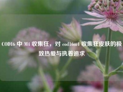 COD16 中 M4 收集狂，对 cod16m4 收集狂皮肤的极致热爱与执着追求