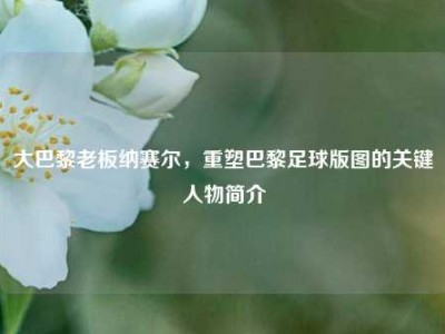 大巴黎老板纳赛尔，重塑巴黎足球版图的关键人物简介