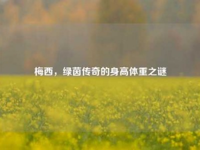 梅西，绿茵传奇的身高体重之谜