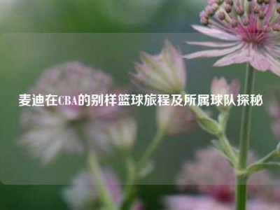 麦迪在CBA的别样篮球旅程及所属球队探秘