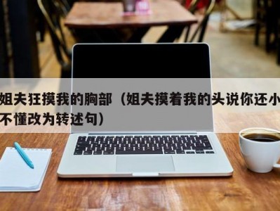 姐夫狂摸我的胸部（姐夫摸着我的头说你还小不懂改为转述句）