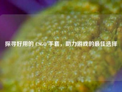 探寻好用的 CSGO 手套，助力游戏的更佳选择