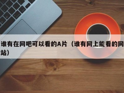 谁有在网吧可以看的A片（谁有网上能看的网站）