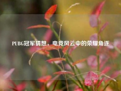 PUBG冠军猜想，电竞风云中的荣耀角逐