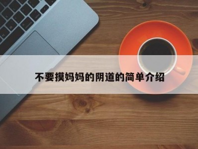 不要摸妈妈的阴道的简单介绍