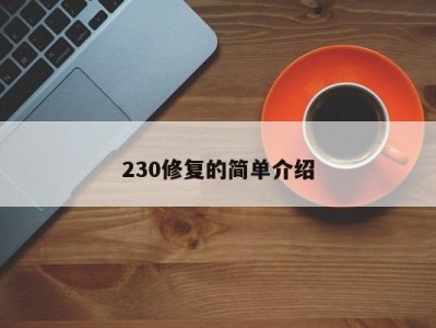 230修复的简单介绍