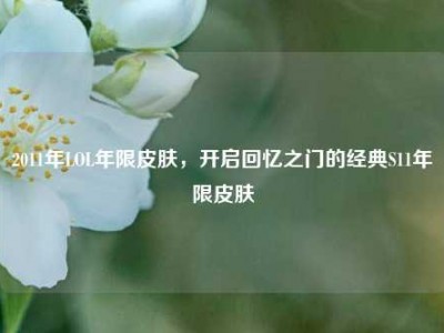 2011年LOL年限皮肤，开启回忆之门的经典S11年限皮肤