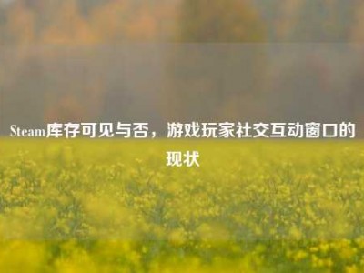 Steam库存可见与否，游戏玩家社交互动窗口的现状