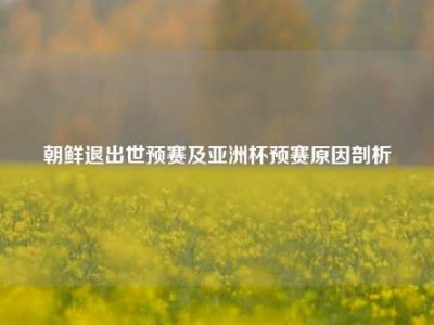朝鲜退出世预赛及亚洲杯预赛原因剖析