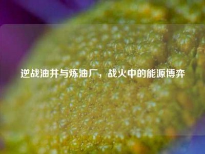逆战油井与炼油厂，战火中的能源博弈