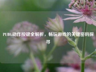 PUBG动作按键全解析，畅玩游戏的关键密码探寻