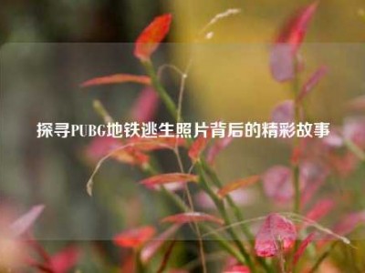 探寻PUBG地铁逃生照片背后的精彩故事