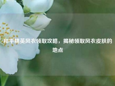 和平精英风衣领取攻略，揭秘领取风衣皮肤的地点