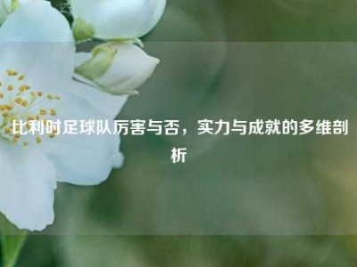 比利时足球队厉害与否，实力与成就的多维剖析