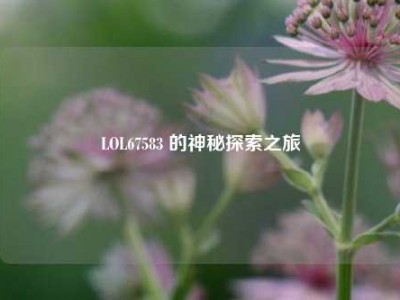 LOL67583 的神秘探索之旅