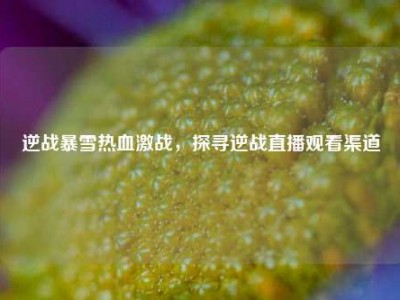 逆战暴雪热血激战，探寻逆战直播观看渠道