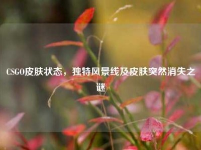 CSGO皮肤状态，独特风景线及皮肤突然消失之谜