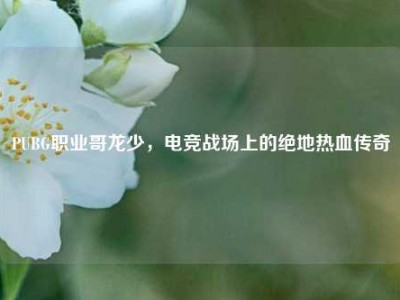 PUBG职业哥龙少，电竞战场上的绝地热血传奇