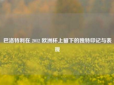 巴洛特利在 2012 欧洲杯上留下的独特印记与表现