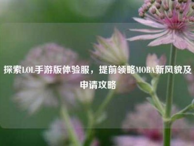 探索LOL手游版体验服，提前领略MOBA新风貌及申请攻略
