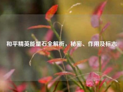 和平精英能量石全解析，秘密、作用及标志