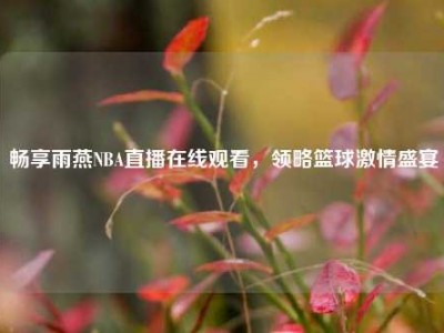 畅享雨燕NBA直播在线观看，领略篮球激情盛宴