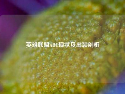 英雄联盟ADC现状及出装剖析