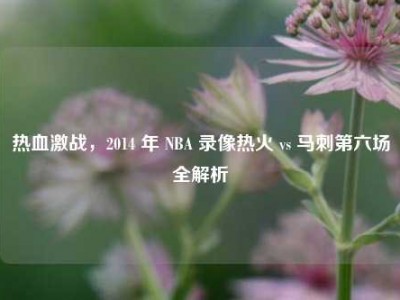 热血激战，2014 年 NBA 录像热火 vs 马刺第六场全解析