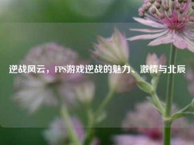 逆战风云，FPS游戏逆战的魅力、激情与北辰