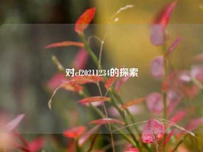 对cf20211234的探索