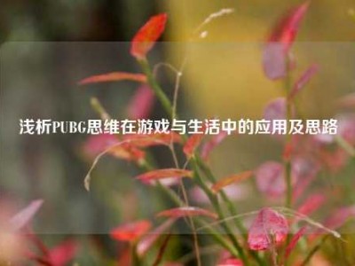 浅析PUBG思维在游戏与生活中的应用及思路