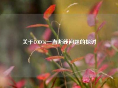 关于COD16一直断线问题的探讨
