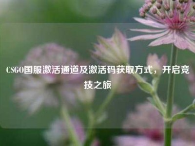 CSGO国服激活通道及激活码获取方式，开启竞技之旅