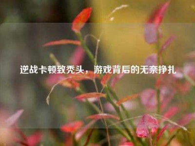 逆战卡顿致秃头，游戏背后的无奈挣扎
