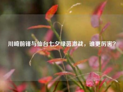 川崎前锋与仙台七夕绿茵激战，谁更厉害？