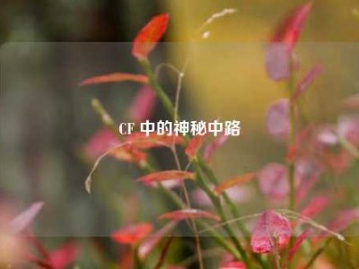CF 中的神秘中路