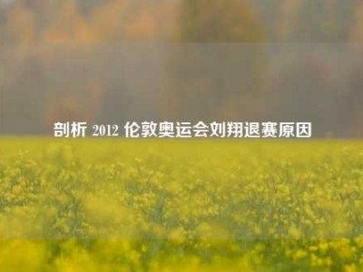 剖析 2012 伦敦奥运会刘翔退赛原因