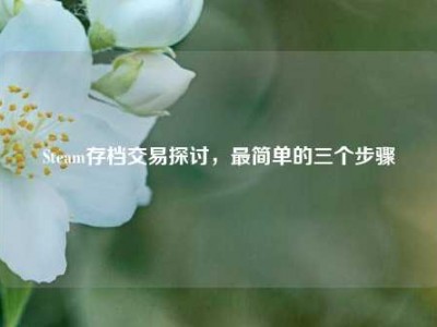 Steam存档交易探讨，最简单的三个步骤
