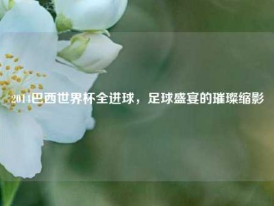 2014巴西世界杯全进球，足球盛宴的璀璨缩影