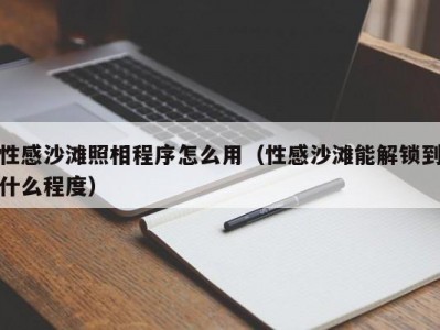 性感沙滩照相程序怎么用（性感沙滩能解锁到什么程度）