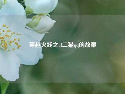 穿越火线之cf二猫qq的故事