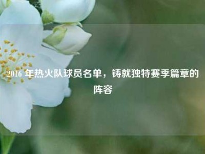 2016 年热火队球员名单，铸就独特赛季篇章的阵容