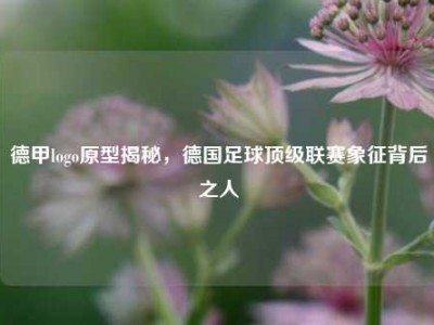 德甲logo原型揭秘，德国足球顶级联赛象征背后之人