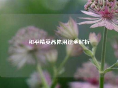 和平精英晶体用途全解析